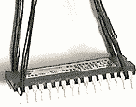  1 ():